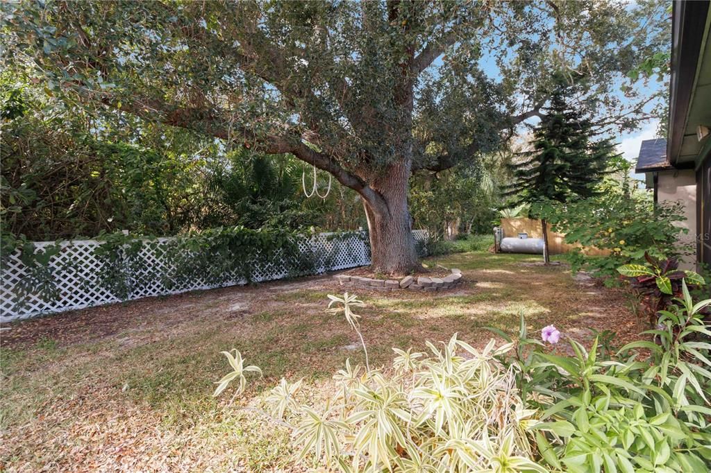 待售: $375,000 (3 贝兹, 2 浴室, 1572 平方英尺)