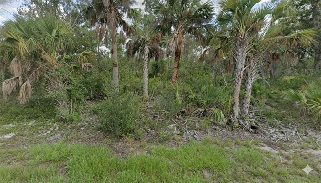 En Venta: $15,000 (0.23 acres)