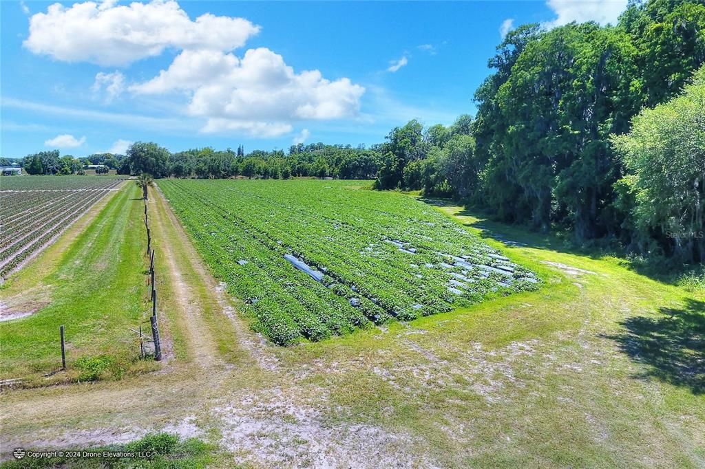 待售: $975,000 (24.24 acres)