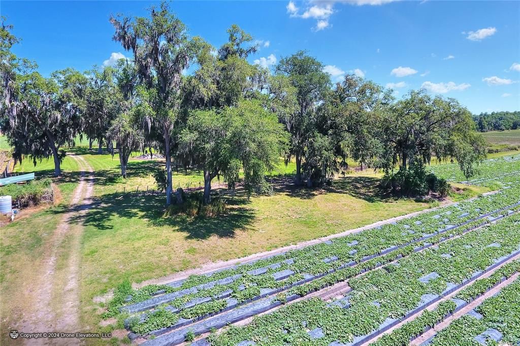 待售: $975,000 (24.24 acres)