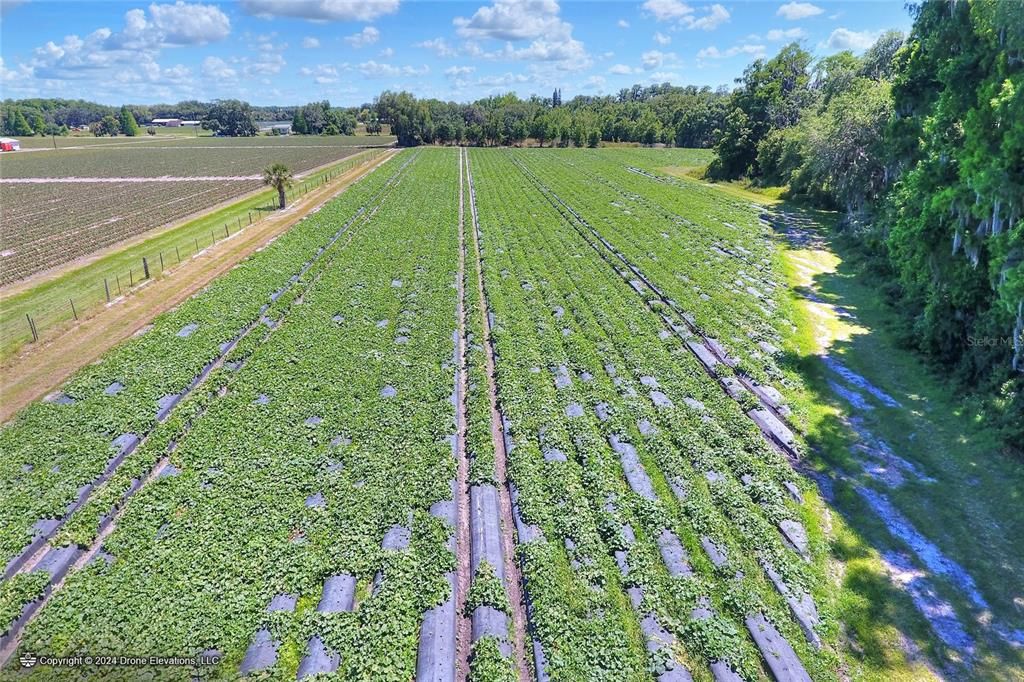 待售: $975,000 (24.24 acres)