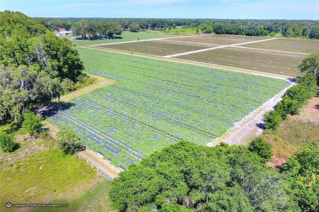 待售: $975,000 (24.24 acres)