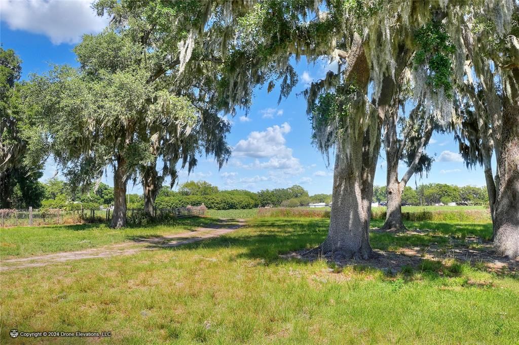 待售: $975,000 (24.24 acres)