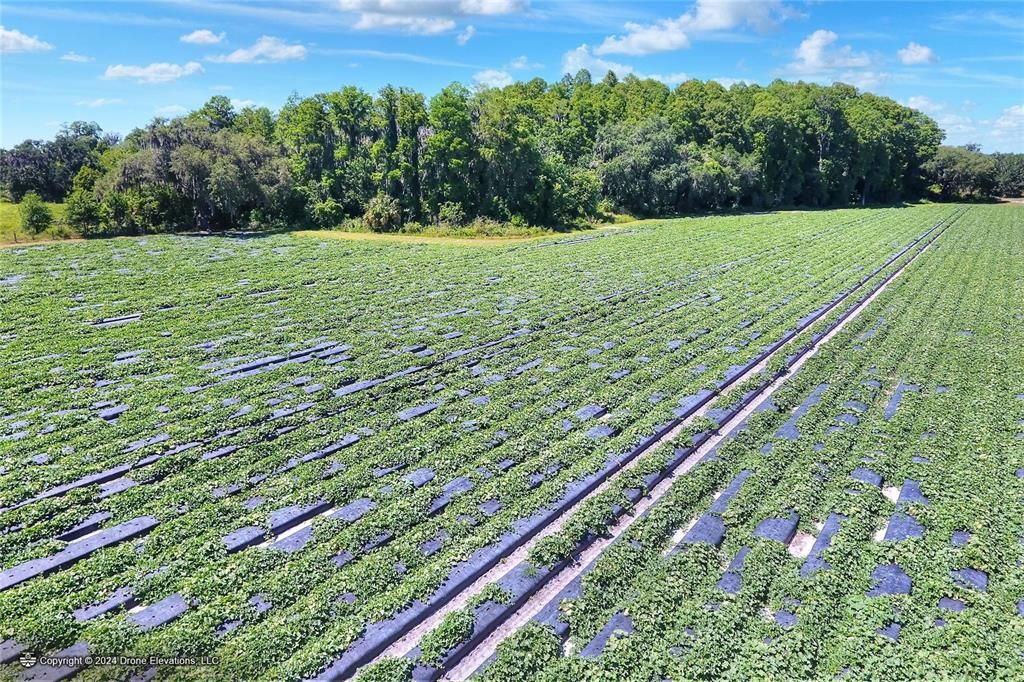 待售: $975,000 (24.24 acres)