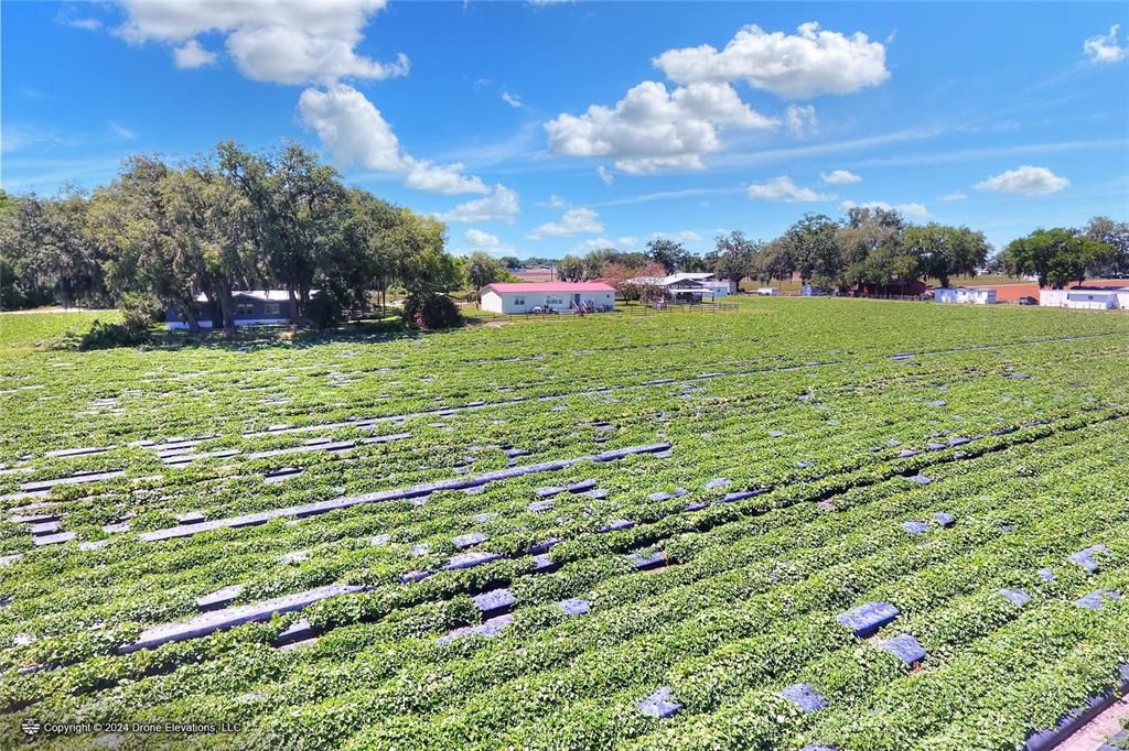 待售: $975,000 (24.24 acres)