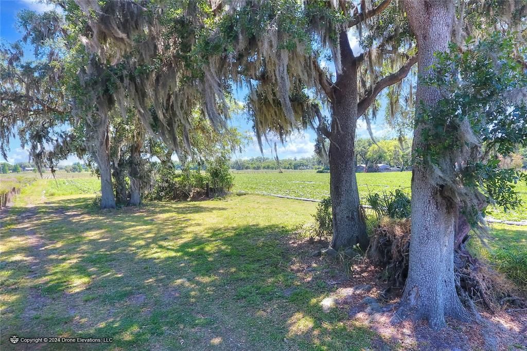 待售: $975,000 (24.24 acres)