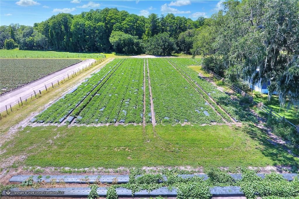 待售: $975,000 (24.24 acres)