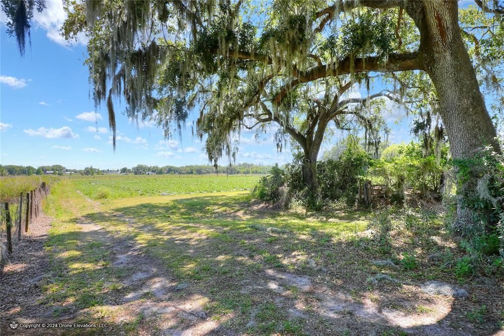 待售: $975,000 (24.24 acres)