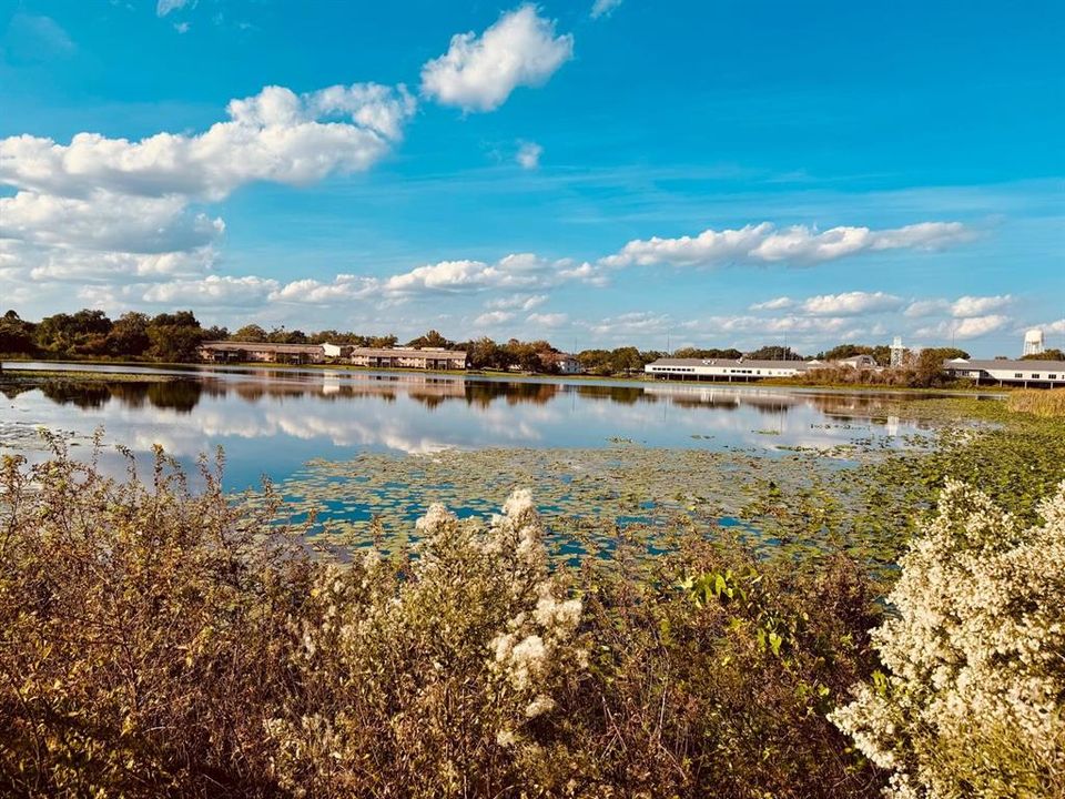 待售: $150,000 (2 贝兹, 1 浴室, 912 平方英尺)