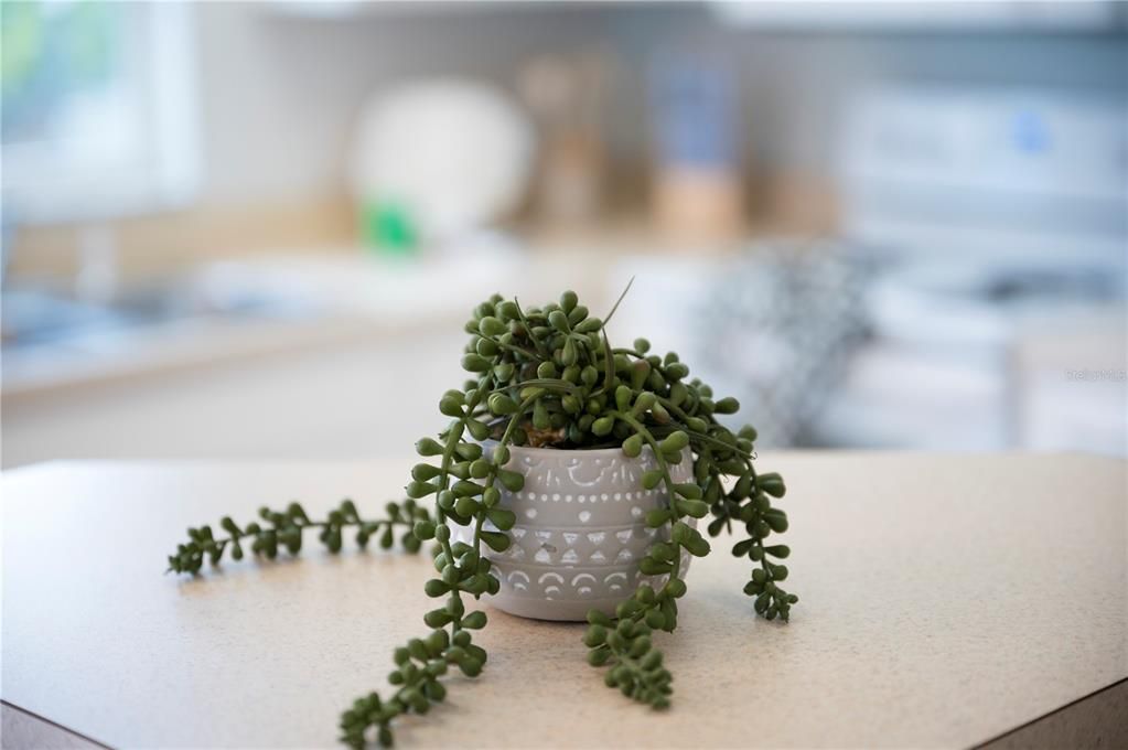 For Rent: $2,300 (3 beds, 2 baths, 1130 Square Feet)