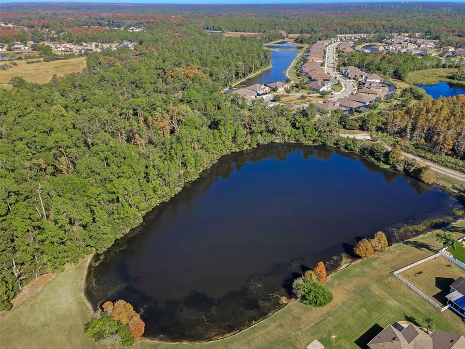 待售: $625,000 (4 贝兹, 3 浴室, 2462 平方英尺)