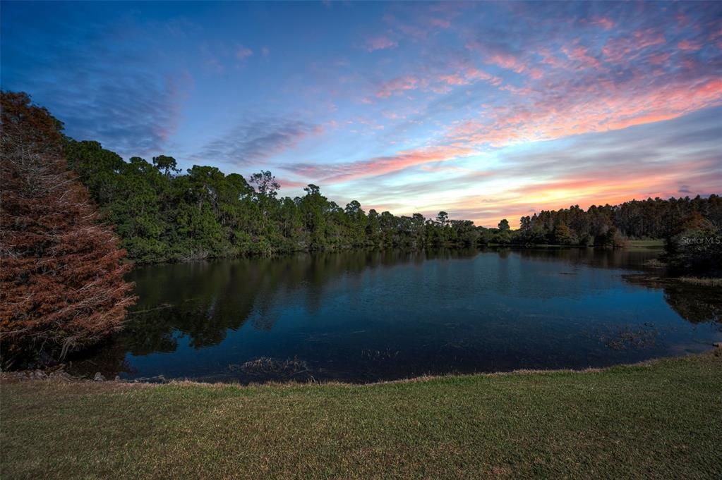 待售: $625,000 (4 贝兹, 3 浴室, 2462 平方英尺)