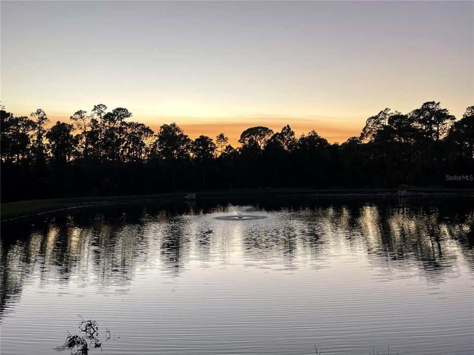 出租: $1,500 (2 贝兹, 2 浴室, 1050 平方英尺)