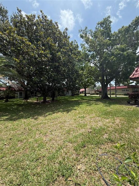 For Rent: $1,300 (1 beds, 1 baths, 644 Square Feet)