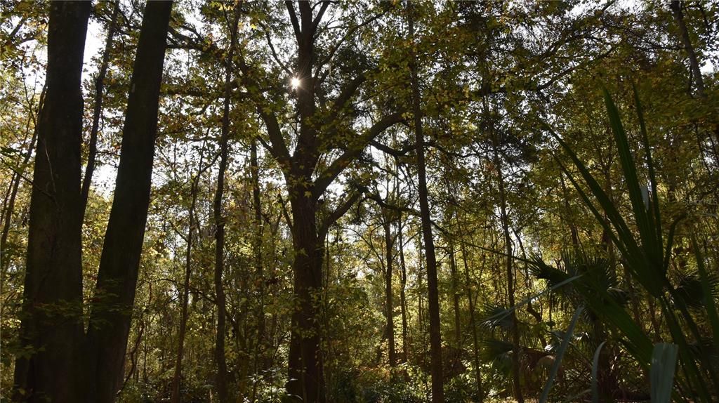 На продажу: $179,900 (20.00 acres)