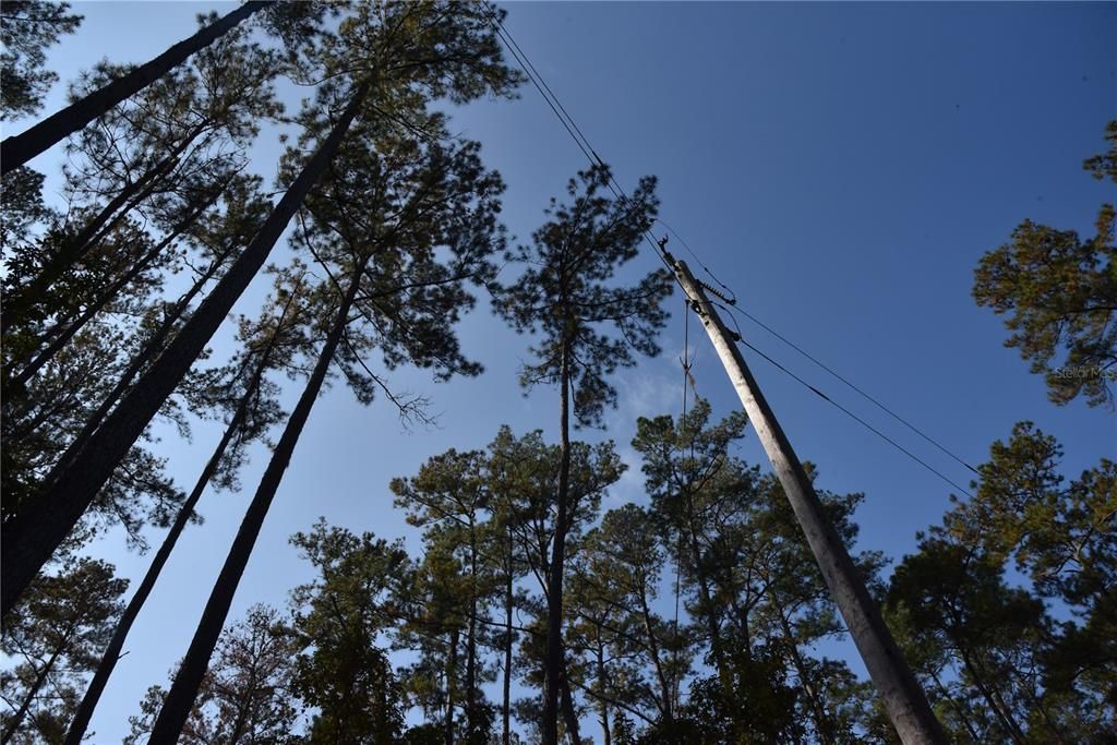 На продажу: $179,900 (20.00 acres)