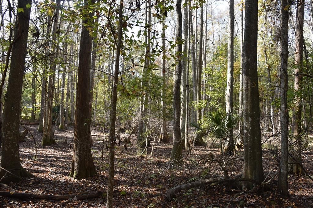 На продажу: $179,900 (20.00 acres)