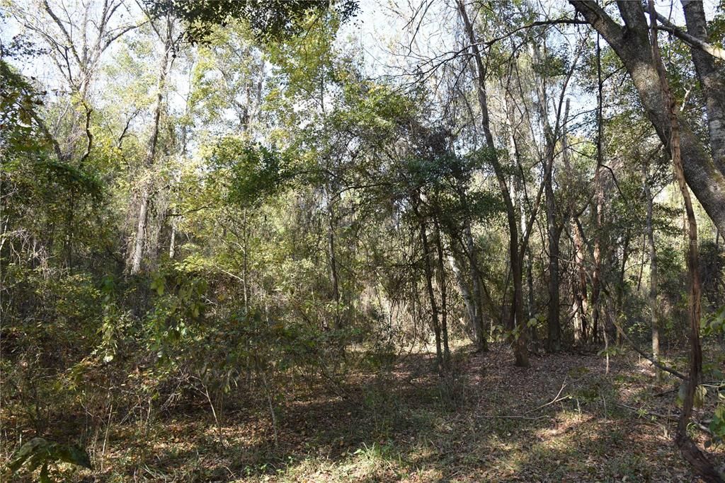 На продажу: $179,900 (20.00 acres)