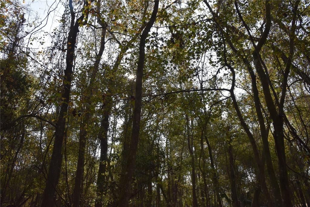 На продажу: $179,900 (20.00 acres)