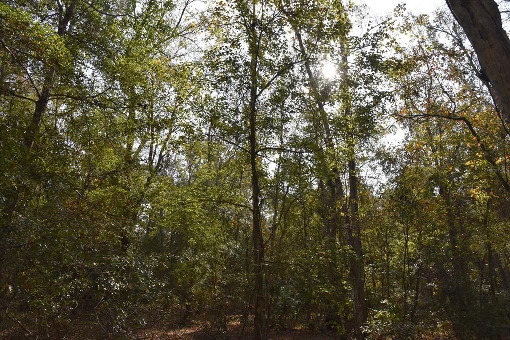 На продажу: $179,900 (20.00 acres)