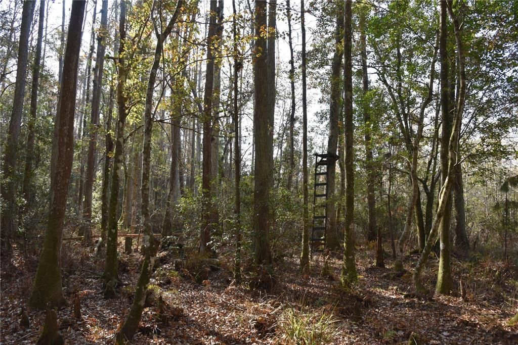 На продажу: $179,900 (20.00 acres)