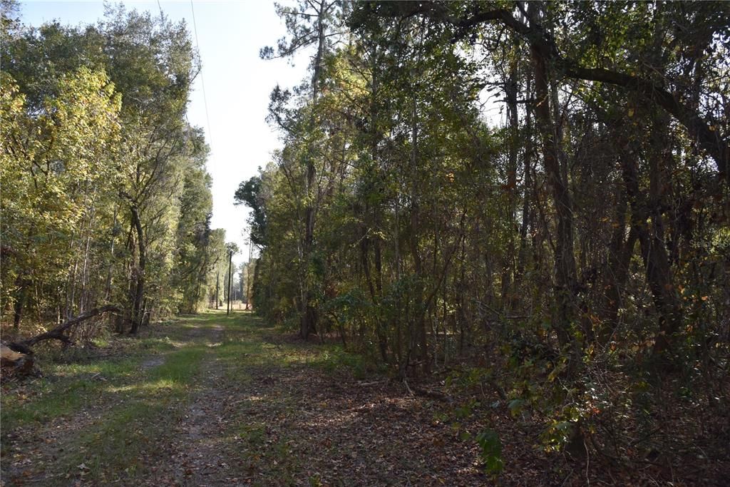 На продажу: $179,900 (20.00 acres)