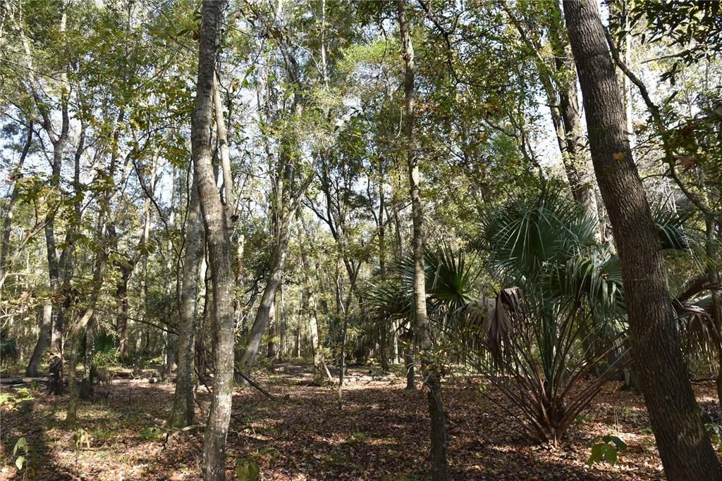 На продажу: $179,900 (20.00 acres)