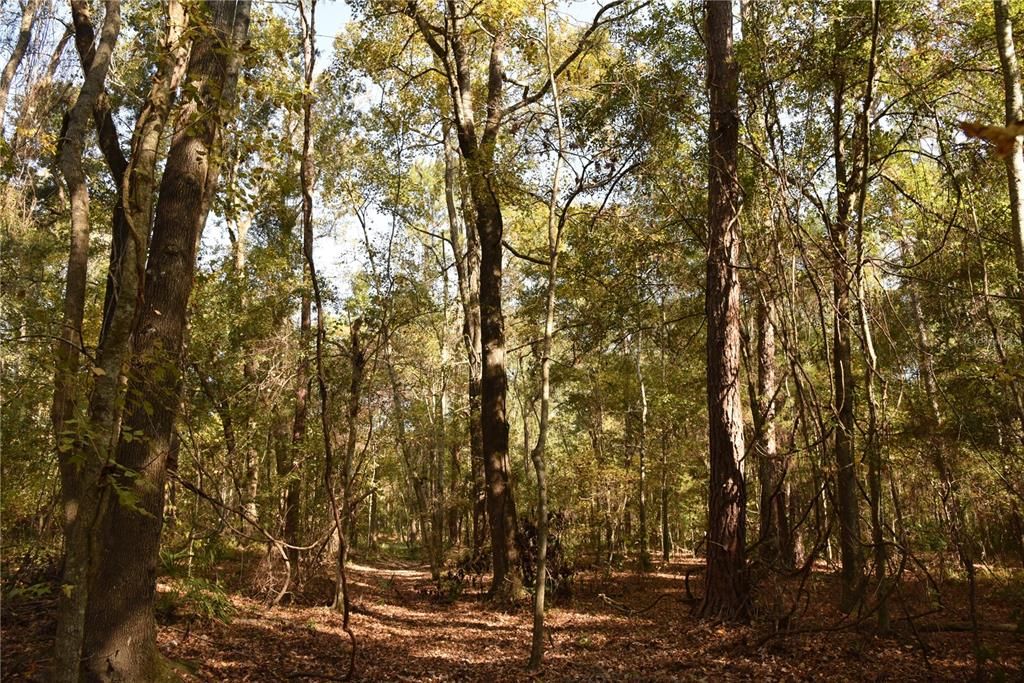 На продажу: $179,900 (20.00 acres)