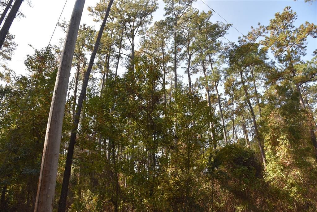 На продажу: $179,900 (20.00 acres)