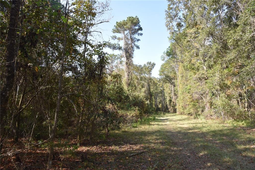 На продажу: $179,900 (20.00 acres)