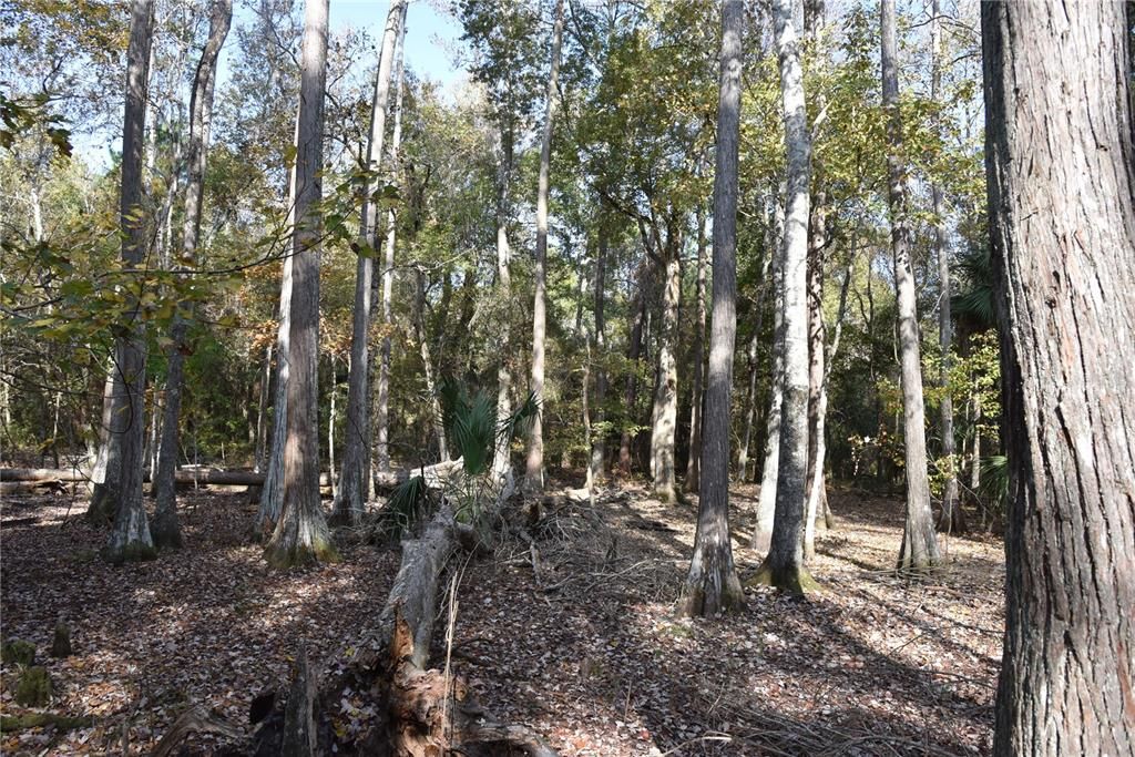 На продажу: $179,900 (20.00 acres)