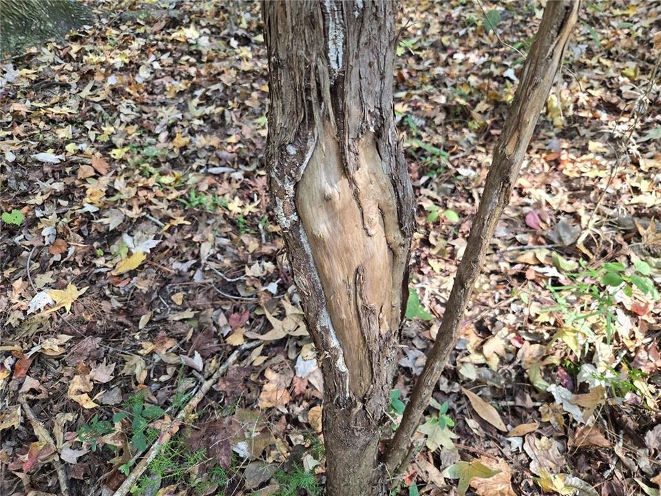 На продажу: $179,900 (20.00 acres)