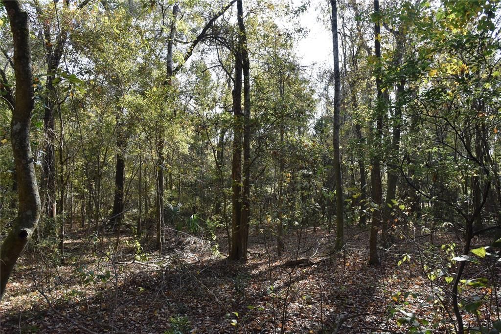 На продажу: $179,900 (20.00 acres)