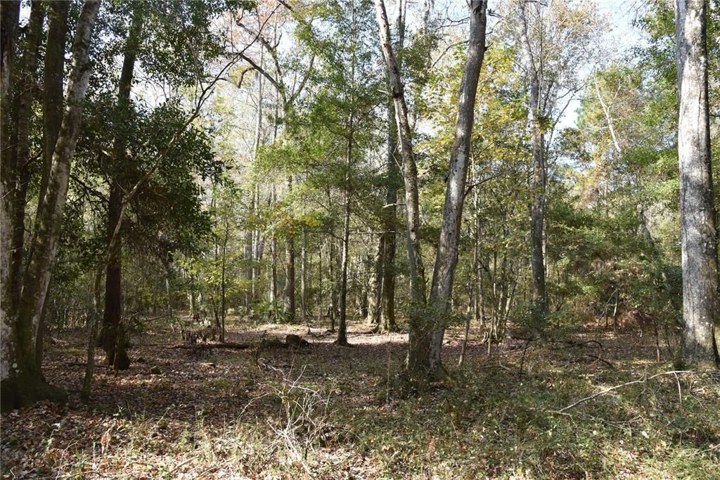 На продажу: $179,900 (20.00 acres)