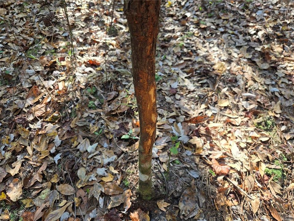 На продажу: $179,900 (20.00 acres)