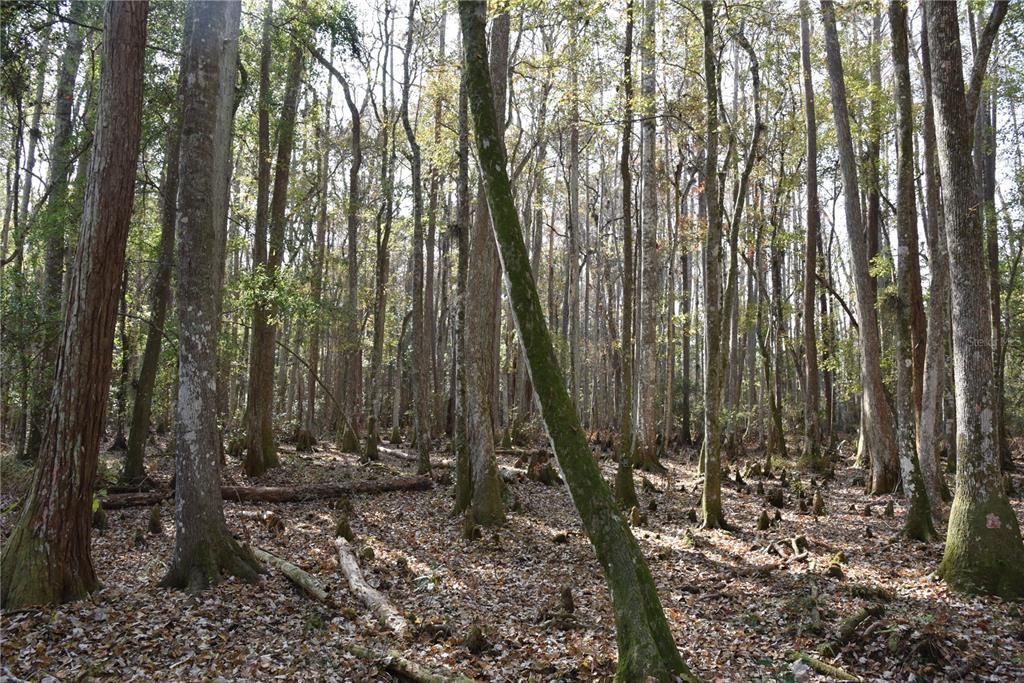 На продажу: $179,900 (20.00 acres)