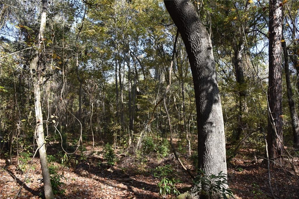 На продажу: $179,900 (20.00 acres)