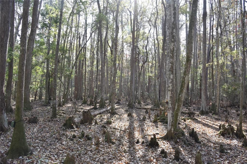 На продажу: $179,900 (20.00 acres)