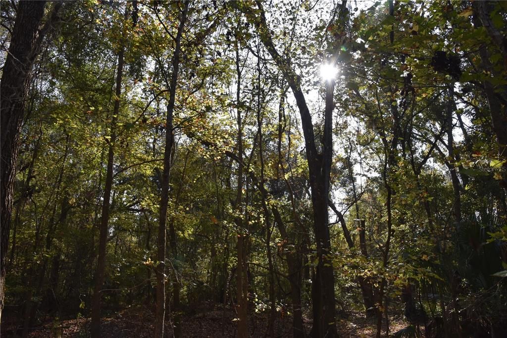 На продажу: $179,900 (20.00 acres)