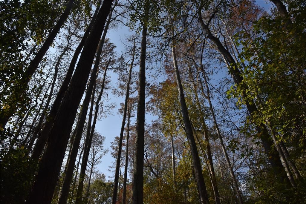 На продажу: $179,900 (20.00 acres)