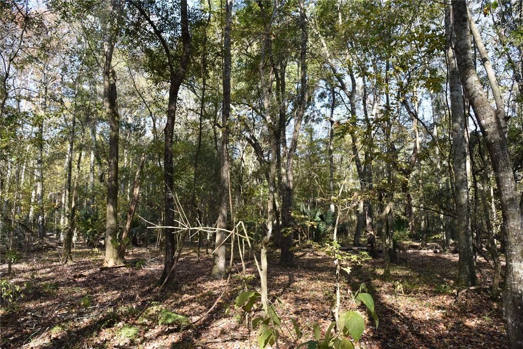 На продажу: $179,900 (20.00 acres)