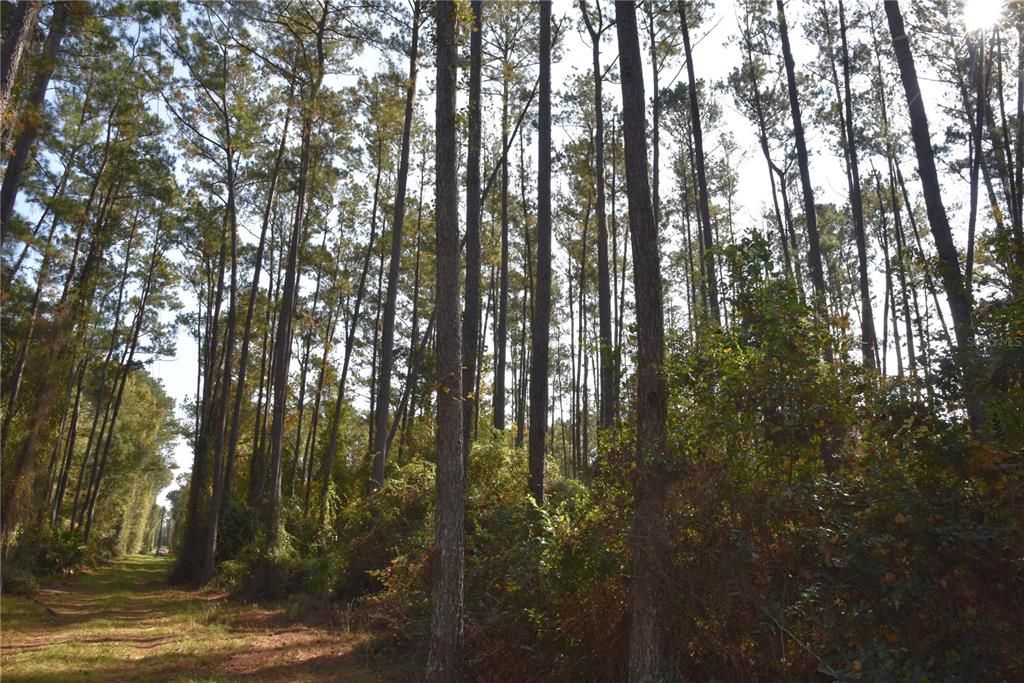 На продажу: $179,900 (20.00 acres)