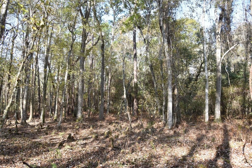 На продажу: $179,900 (20.00 acres)