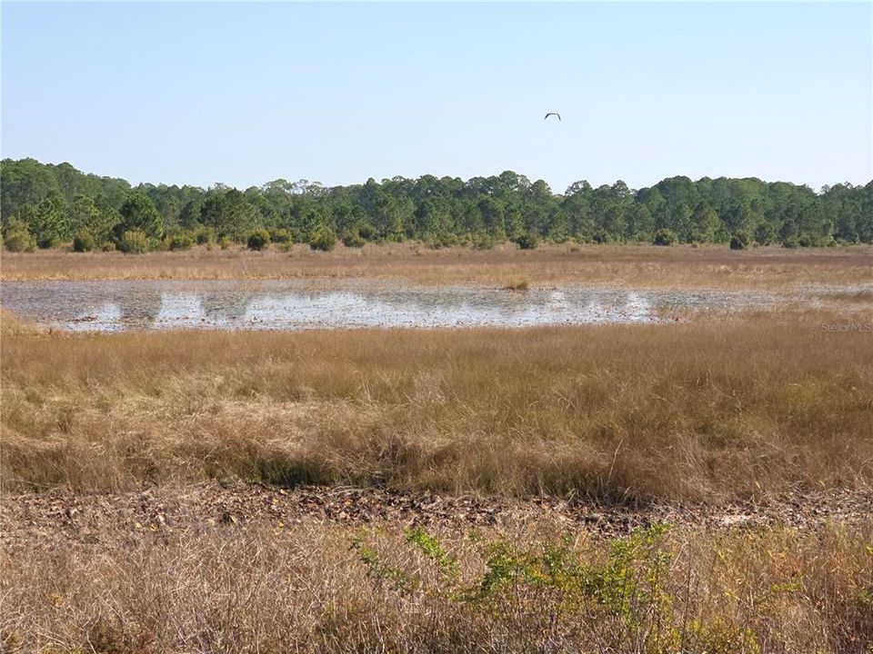 待售: $424,900 (4 贝兹, 3 浴室, 2498 平方英尺)