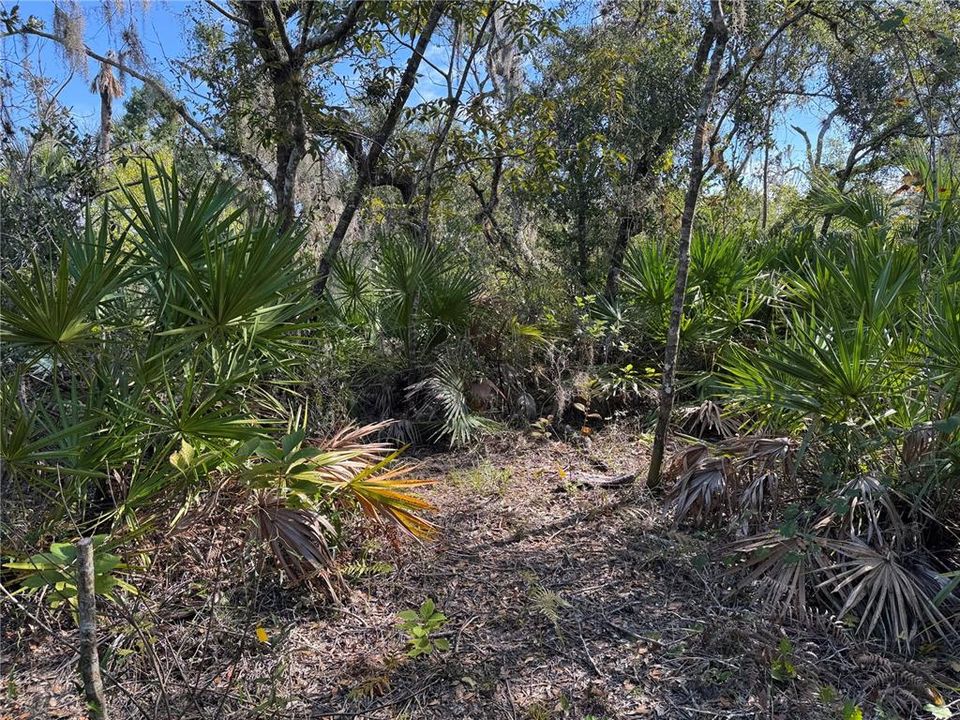 En Venta: $199,750 (2.06 acres)