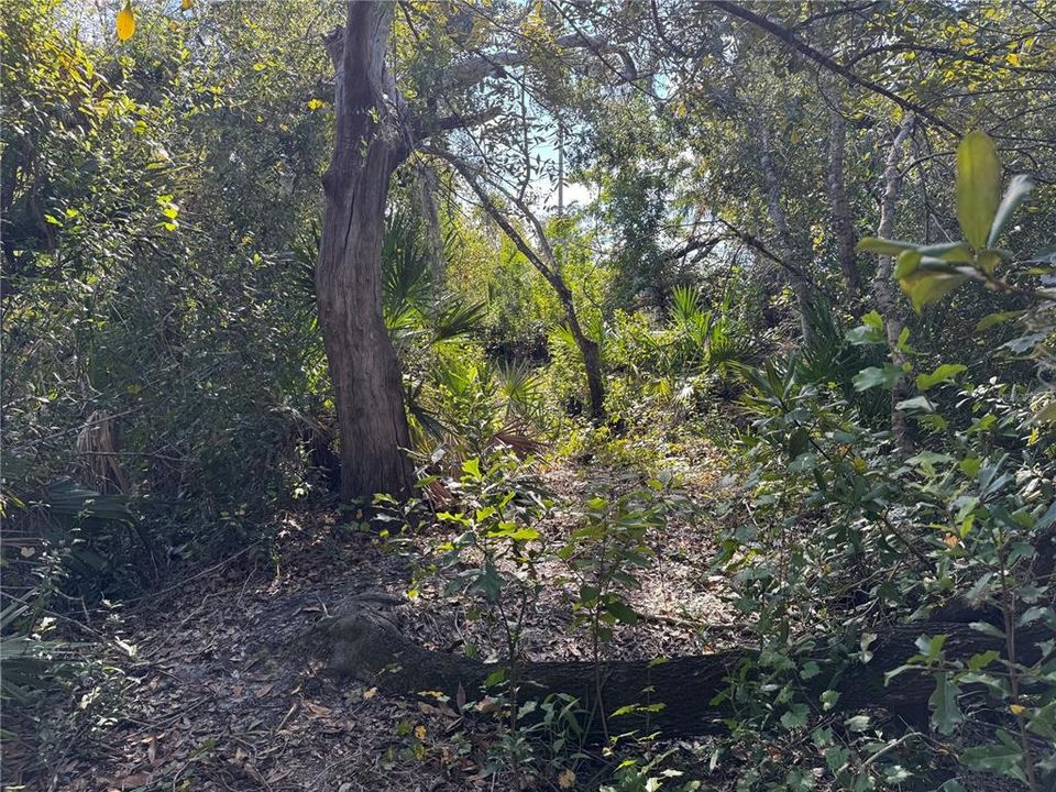 En Venta: $199,750 (2.06 acres)