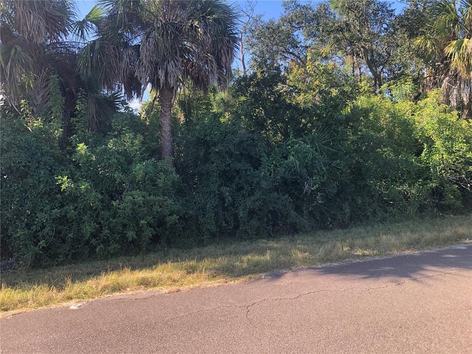 En Venta: $13,000 (0.23 acres)