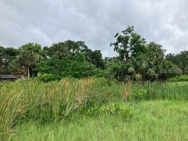 Active With Contract: $299,900 (1.74 acres)