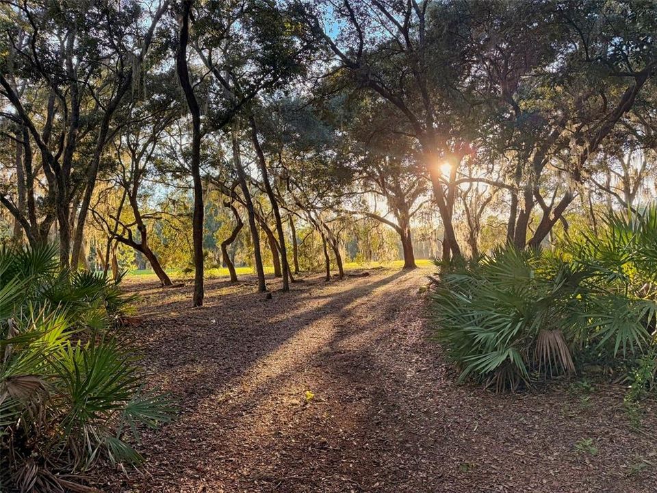 待售: $599,999 (6 贝兹, 4 浴室, 2840 平方英尺)