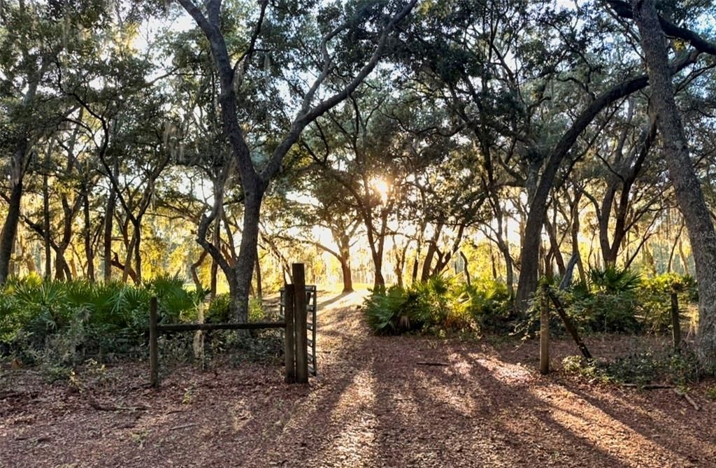 待售: $599,999 (6 贝兹, 4 浴室, 2840 平方英尺)